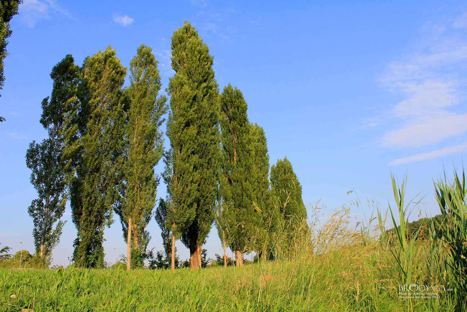 Peschiera del Garda, Parco del Mincio